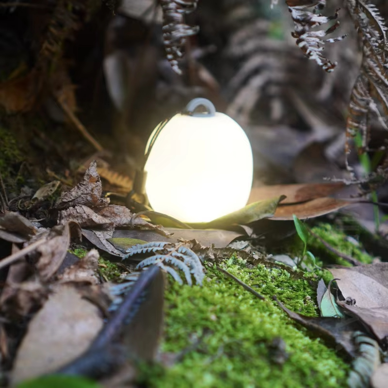 ミニ卵型シリコン製キャンプランタン、USB充電式ポータブルL - Outdoor Camping Adventure Lamp のレビューと価格